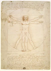 De Verhoudingen van het menselijk lichaam (naar Vitruvius), c.1492